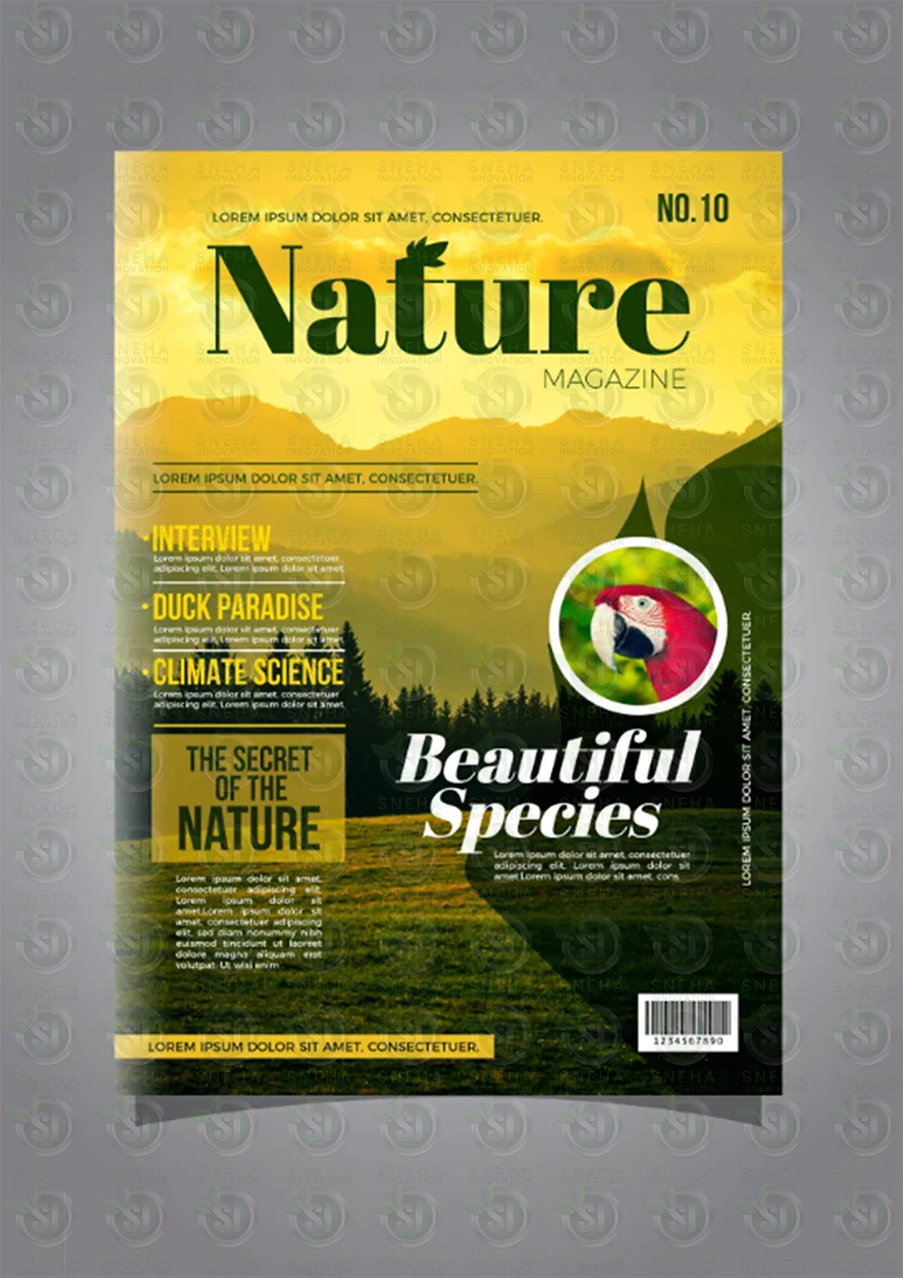 Magazine Cover 4